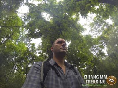 Photos from our guests | Chiang Mai Trekking | The best trekking in Chiang Mai with Piroon Nantaya